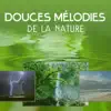 Oasis Des Bruits Naturels - Douces mélodies de la nature - Musique de la forêt, jardin zen, moment de rêve, sons des vagues de l'océan, détente et bien être